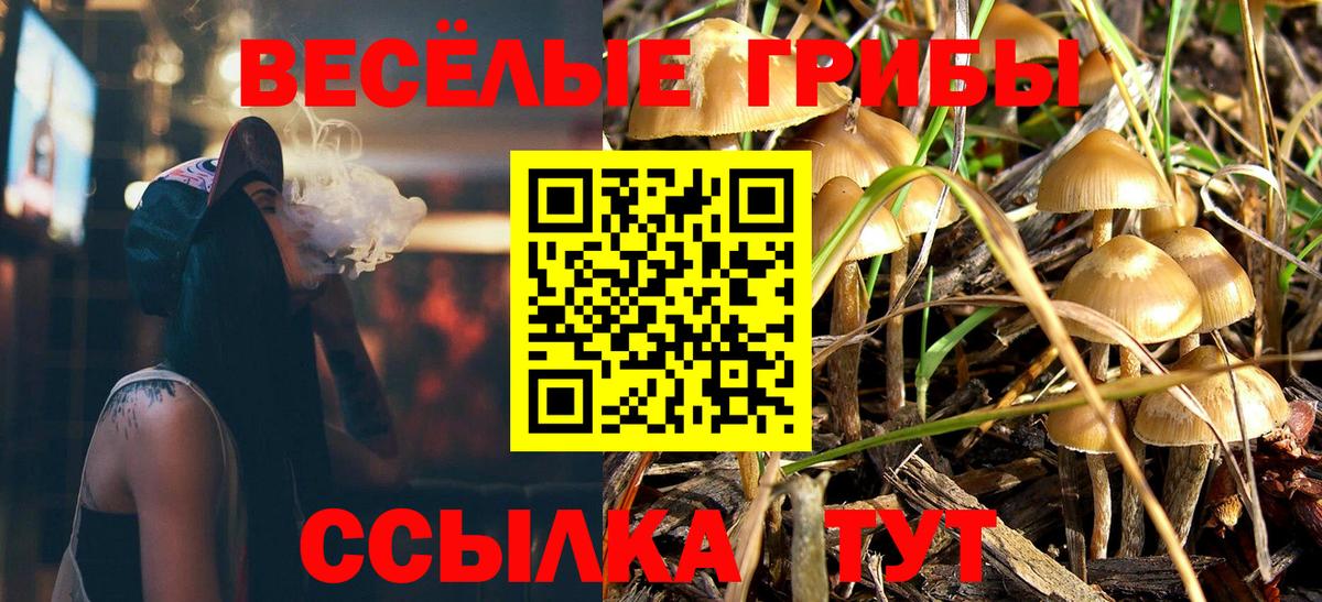 Сланцы  Галлюциногенные грибы мухоморы  купить наркотики сайты  Вход с VPN  Псилоцибиновые грибы ЛСД 