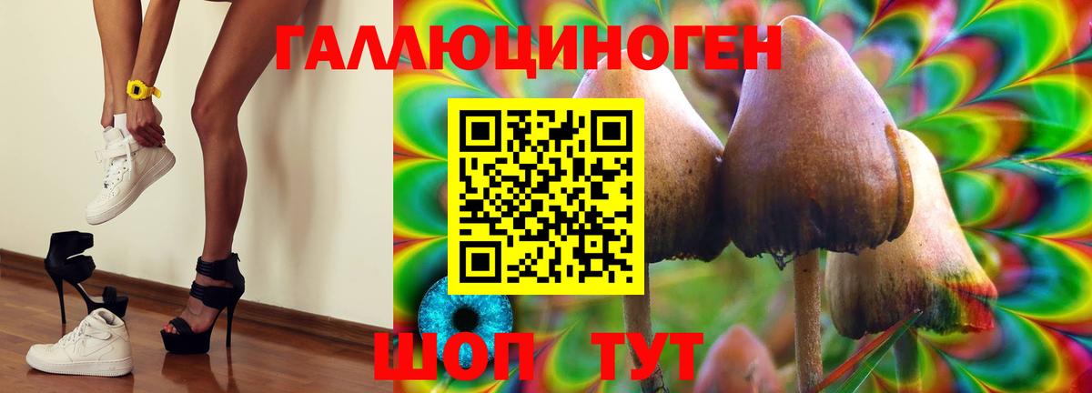 Псилоцибиновые грибы прущие грибы Сланцы